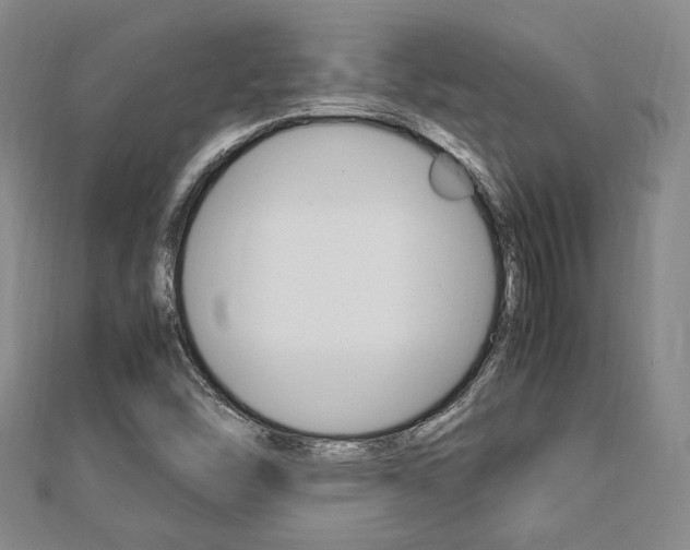 X0000112871454200908211019