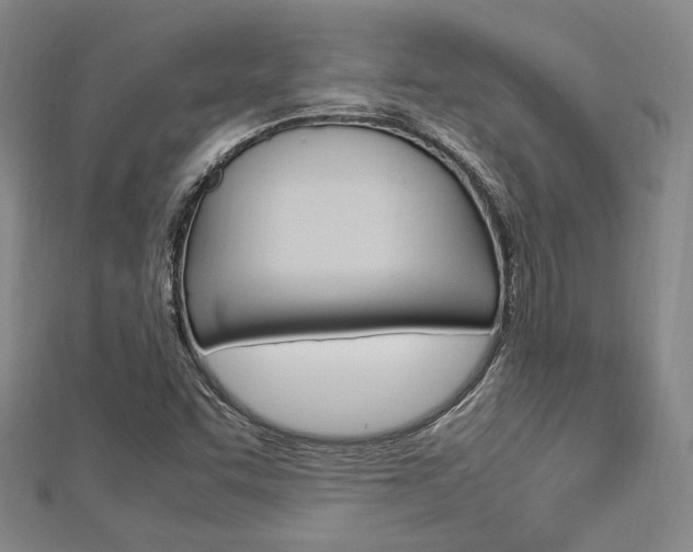 X0000112871455200908211019