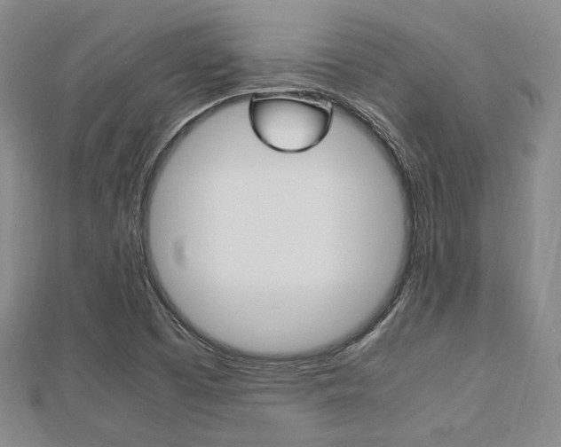 X0000112871457200908211019