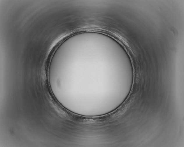 X0000112871458200908211019