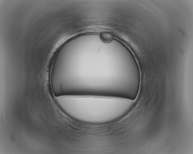 X0000112871459200908211019