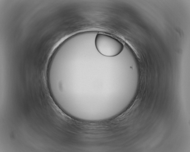 X0000112871460200908211019