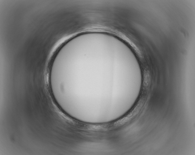 X0000112871462200908211019