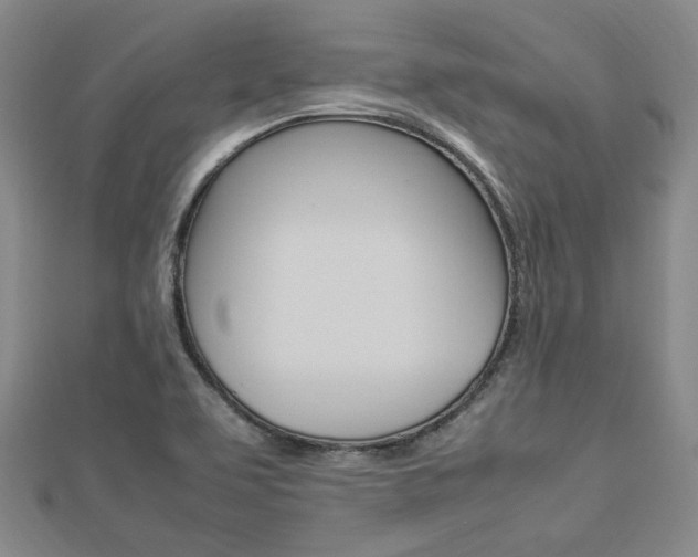 X0000112871463200908211019