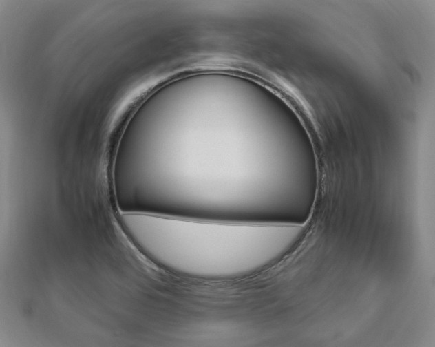 X0000112871464200908211019