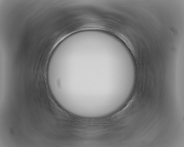 X0000112871465200908211019