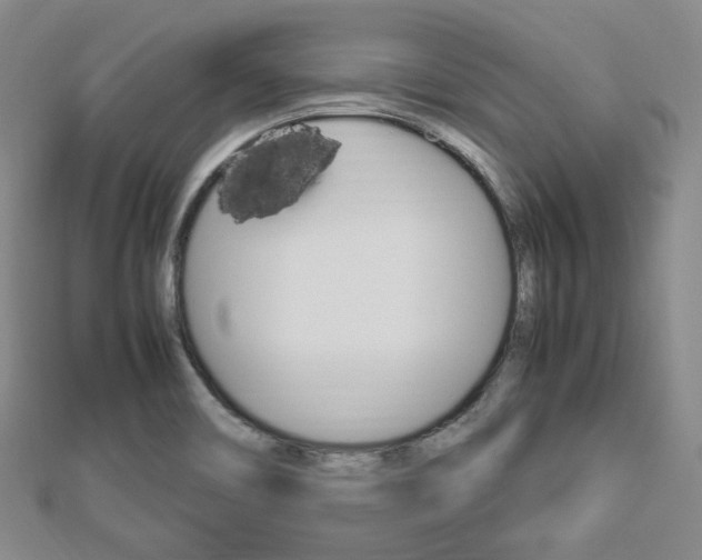 X0000112871466200908211019