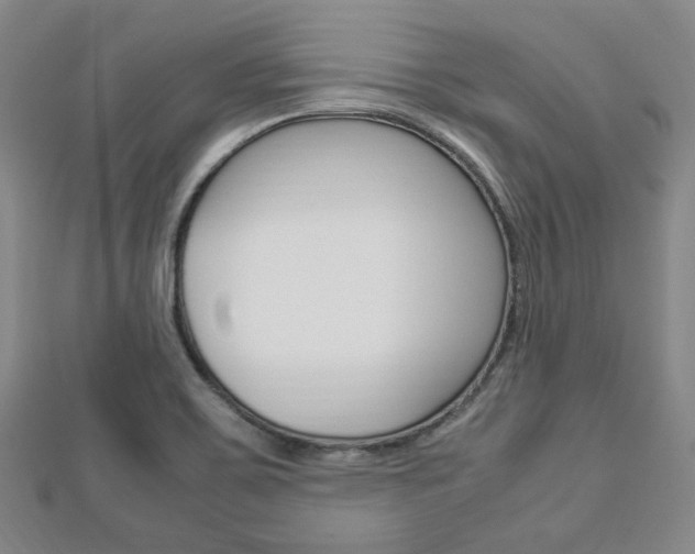 X0000112871467200908211019