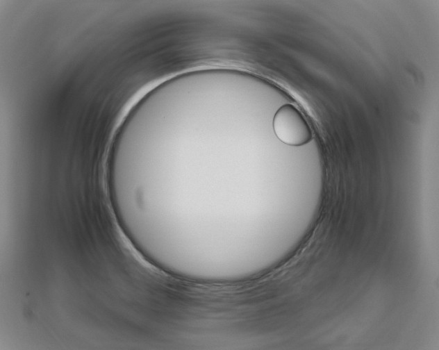 X0000112871468200908211019