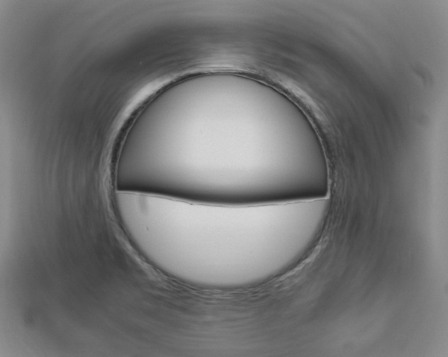 X0000112871469200908211019