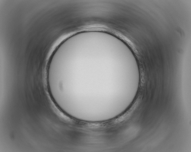 X0000112871470200908211019
