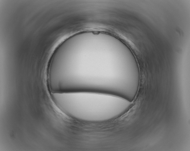 X0000112871471200908211019