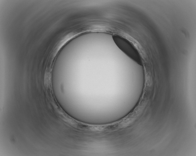 X0000112871473200908211019