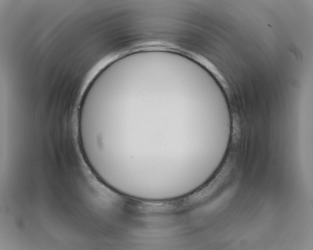 X0000112871474200908211019