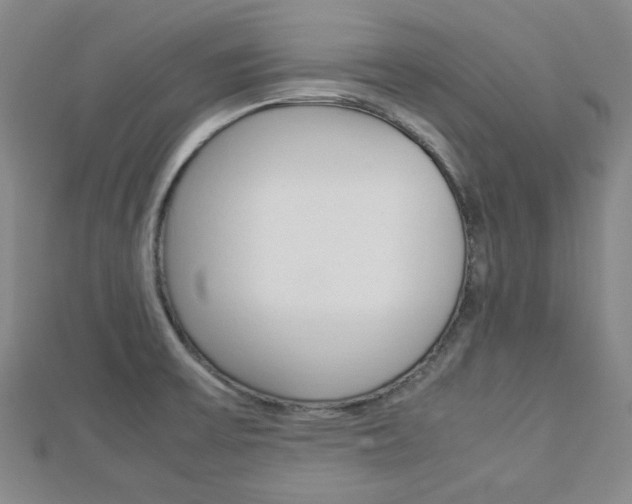 X0000112871475200908211019