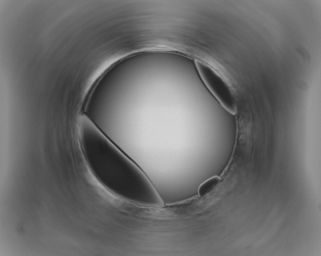 X0000112871476200908211019