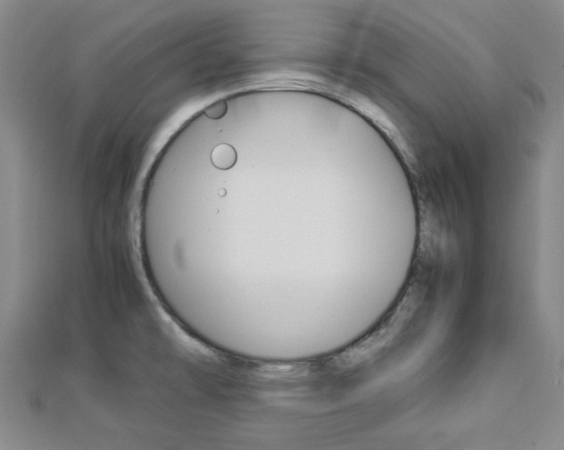 X0000112871478200908211019