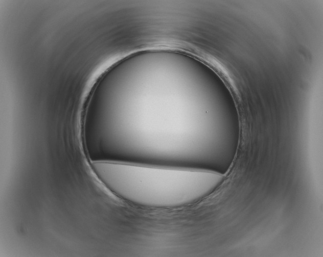 X0000112871480200908211019
