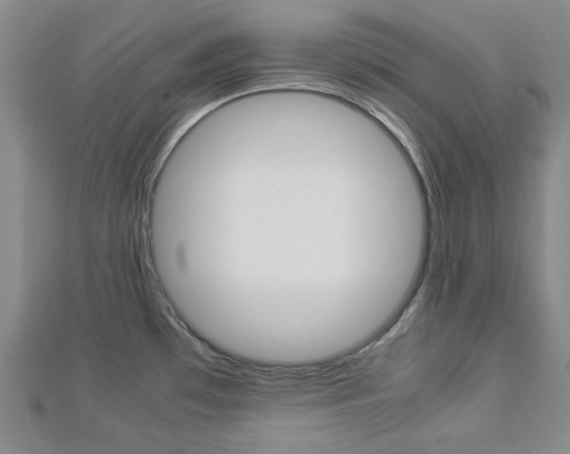 X0000112871481200908211019
