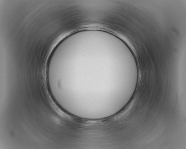 X0000112871482200908211019