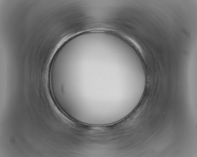 X0000112871483200908211019
