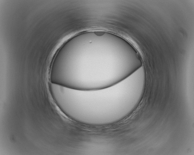 X0000112871485200908211019