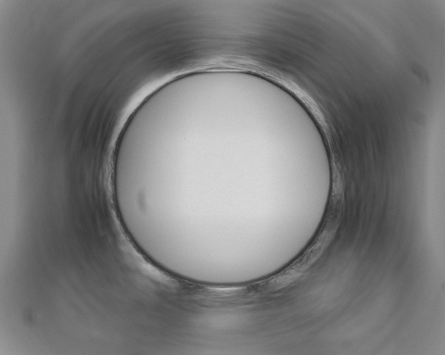 X0000112871486200908211019