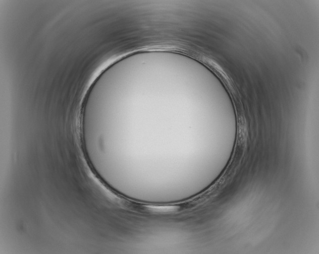 X0000112871487200908211019