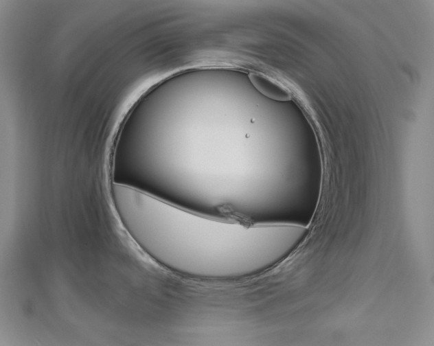 X0000112871488200908211019