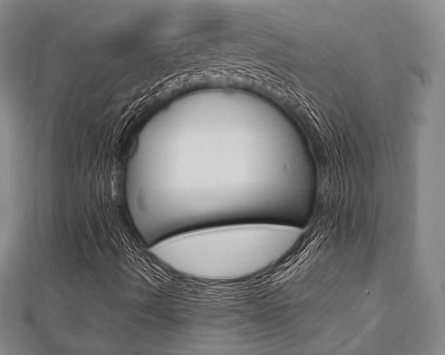 X0000112871490200908211018