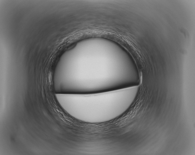 X0000112871492200908211018