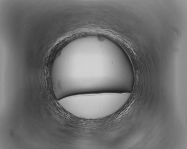 X0000112871494200908211018