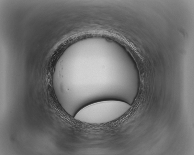X0000112871495200908211018