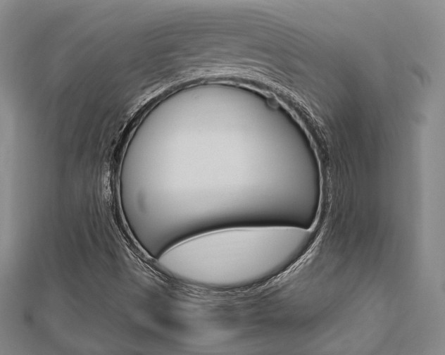 X0000112871497200908211018
