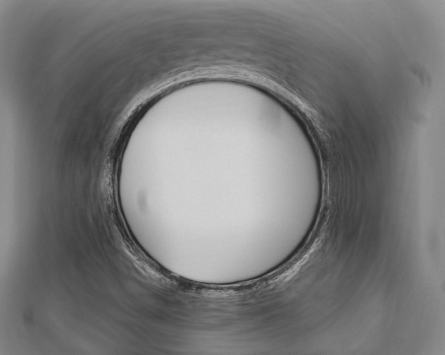 X0000112871498200908211018