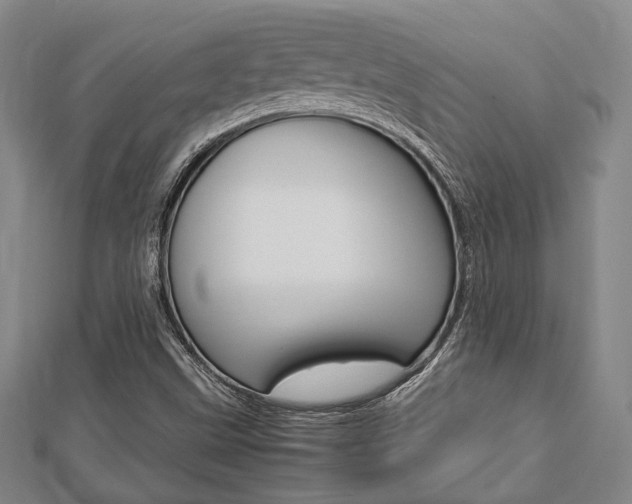 X0000112871499200908211018