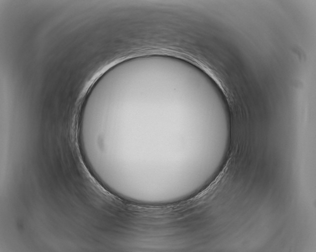 X0000112871500200908211018