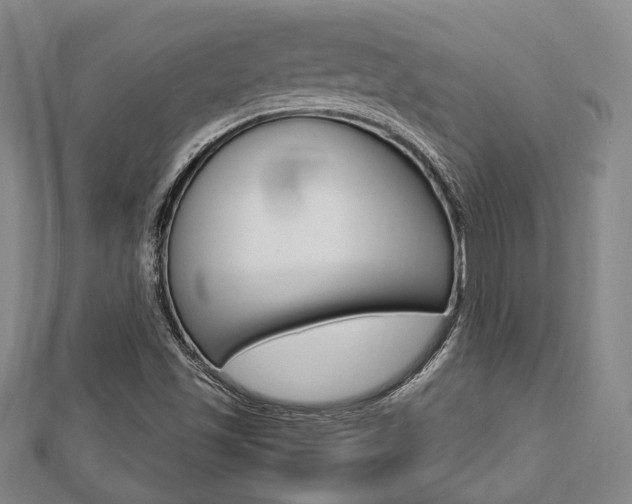 X0000112871501200908211018