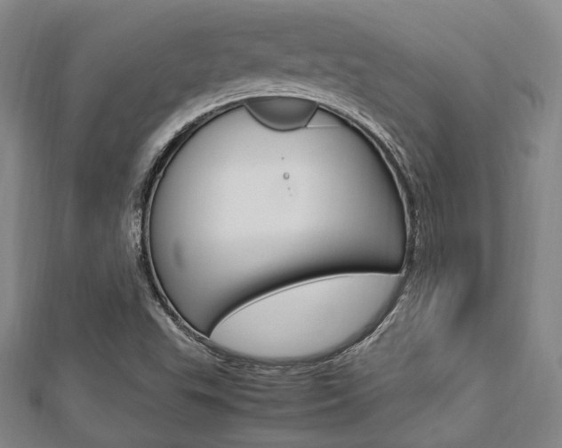 X0000112871503200908211018
