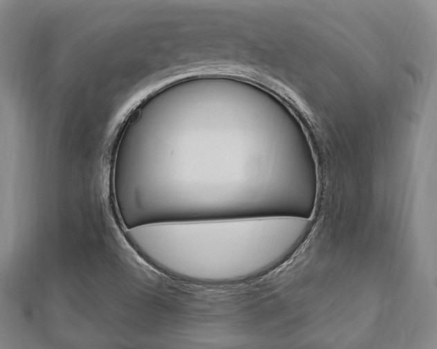 X0000112871504200908211018