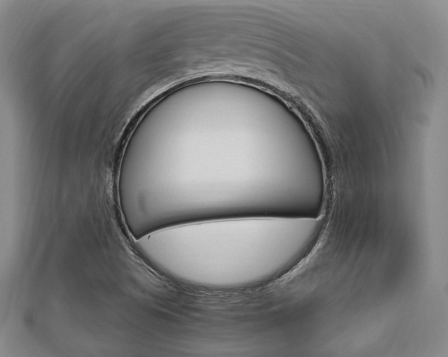 X0000112871505200908211018