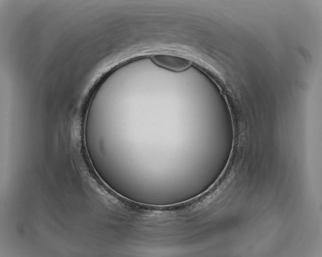 X0000112871506200908211018