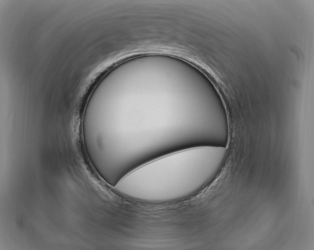 X0000112871507200908211018