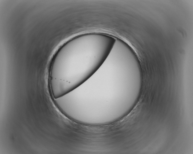 X0000112871508200908211018