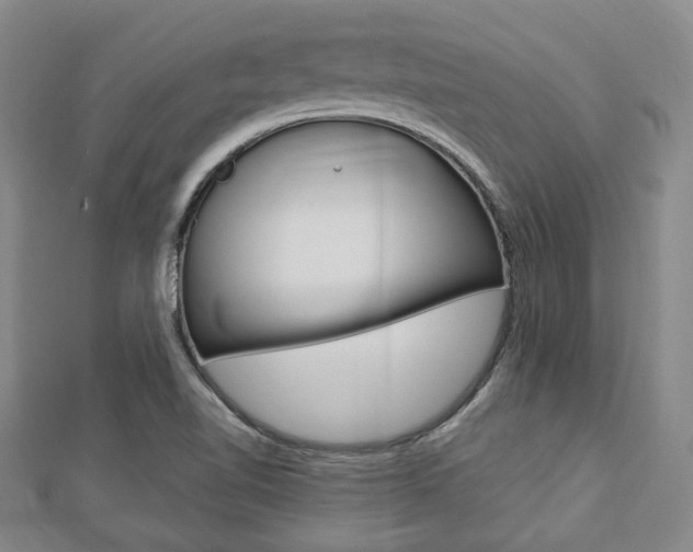 X0000112871510200908211018