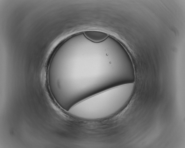 X0000112871511200908211018