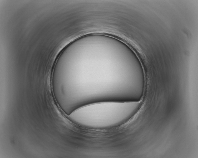 X0000112871513200908211018