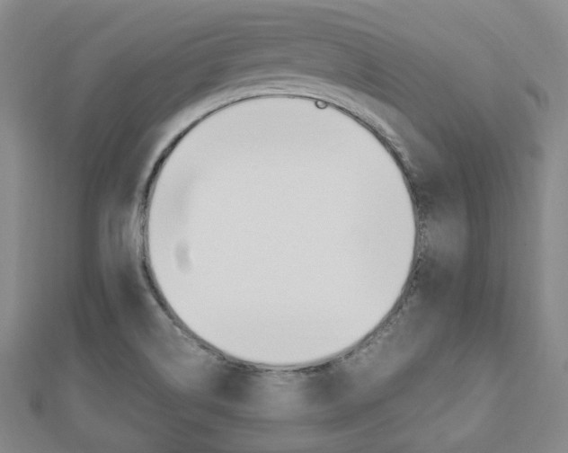 X0000112871514200908211019