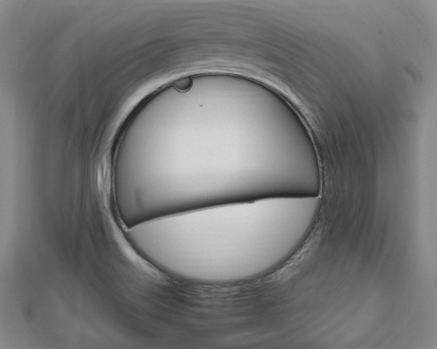 X0000112871515200908211019