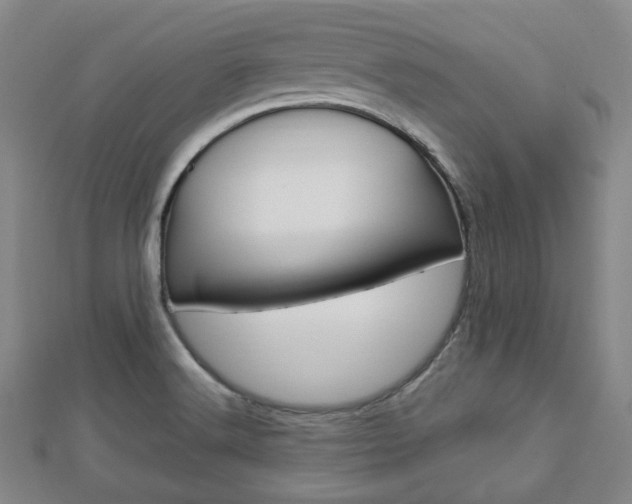 X0000112871516200908211019